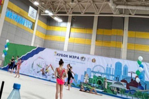 Для  мастер класса по художественной гимнастике