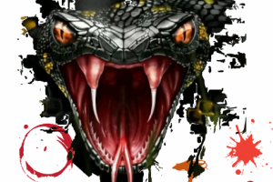 Принт на майку. Змея