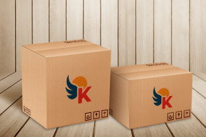 Логотип для оператора доставки