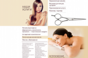 Работа 3217858