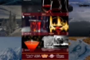 Работа 2138579