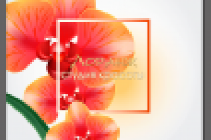 Работа 2441278