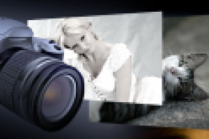 Работа 1713672