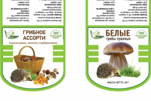 Работа 3170756