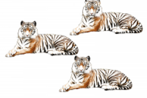 Отрисовка персонажа