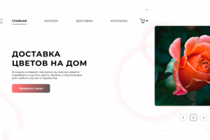 My Beautiful Flowers