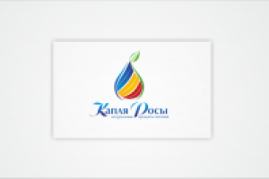 Логотип. Принят. Используется