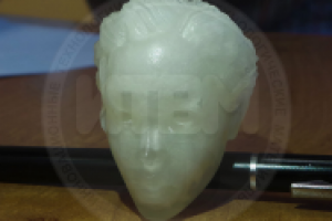 Action Figures "Evie" 3D моделирование, 3D печать (Фотополимер)