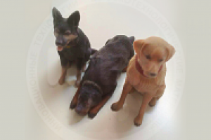 3D моделирование, подготовка к печати, 3D печать (гипсополимер)