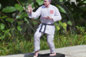 3D моделирование, подготовка к печати, 3D печать (гипсополимер)