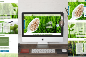 сайт БЕЛВИТГРАСС