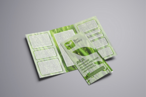 Лифлет БЕЛВИТГРАС