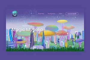 Magic Mycelia