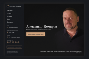 Александр Комаров - бизнес-консультант