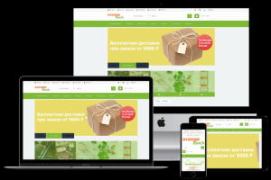 Сайт "под ключ" - orangelunch.ru