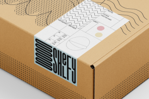 Логотип бренда декора для дома Shelfy