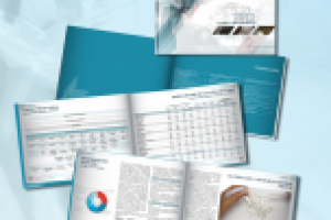 годовой отчет