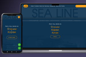 Sea Line авто из Японии и Кореи под заказ