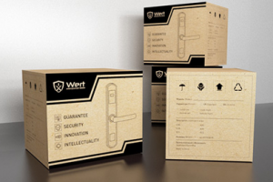 разработка дизайна коробки Wert