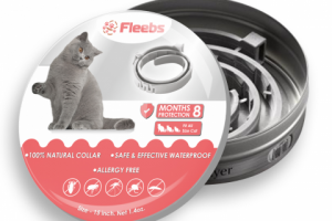 Баночка Fleebs Кот