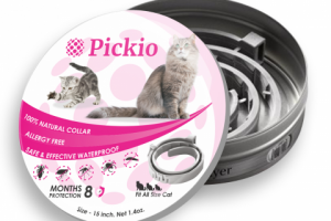 Коробка Pickio Кот