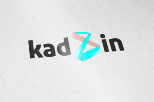 kadZin