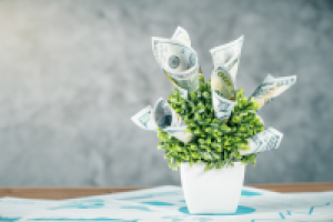 Коммерческое фото