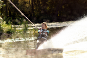 Работа 2579491