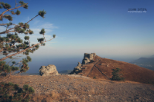 Работа 2127424