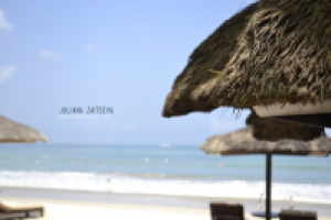 Работа 2127423