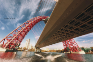 Работа 2127426