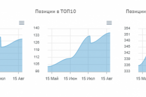 увеличение органического трафика на сайт салона красоты