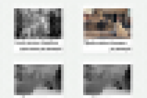 Работа 1878149