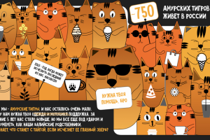 Конкурсная работа