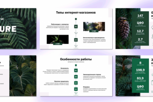 Презентация описания деятельности