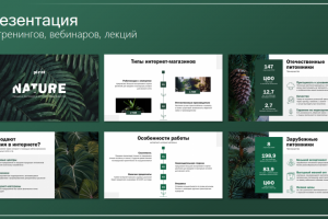 Презентация для вебинара/лекции