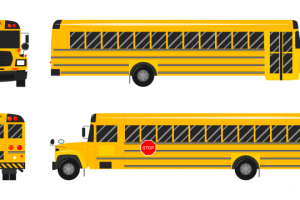 Школьный автобус виды спереди, сзади, слева и справа