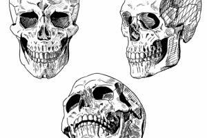 Изображения человеческого черепа в "ручном" стиле