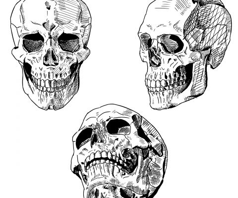img4319734.png