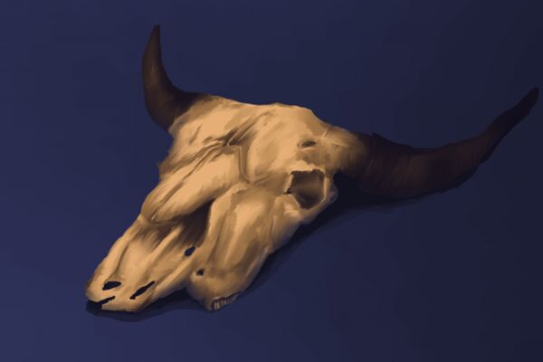 img4110899.png