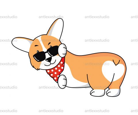 img4186147.png