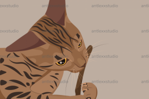 Бенгальская кошка в стиле flat