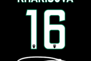 Макет чехла для телефона в виде формы команды КХЛ