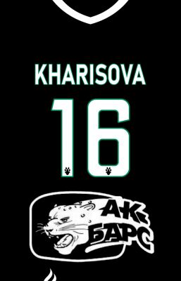 img4087822.png