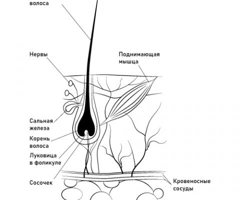 img4364448.png