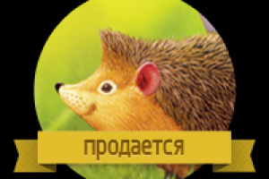 Календарь Трио