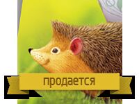 img2513884.png