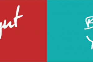 лого  Briut (здоровье)