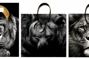 Пакеты дикий мир