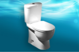 SEO-статья на тему: "Что нужно знать перед покупкой унитаза?"